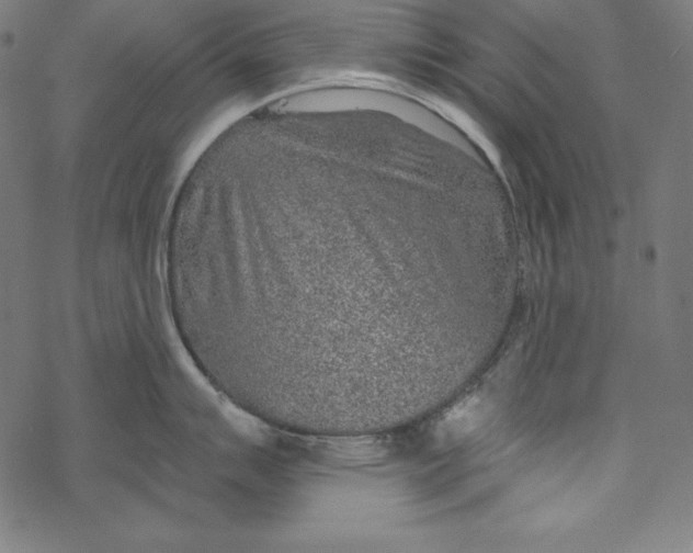 X0000067921007200605041704