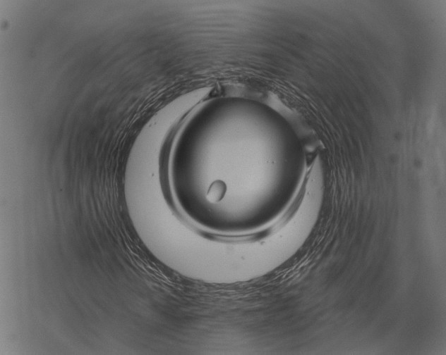 X0000067921010200605041703