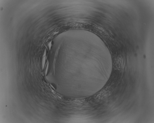 X0000067921013200605041703