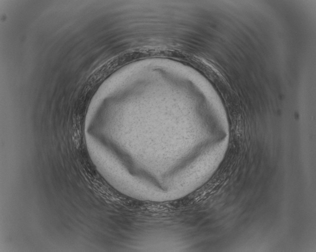 X0000067921015200605041703
