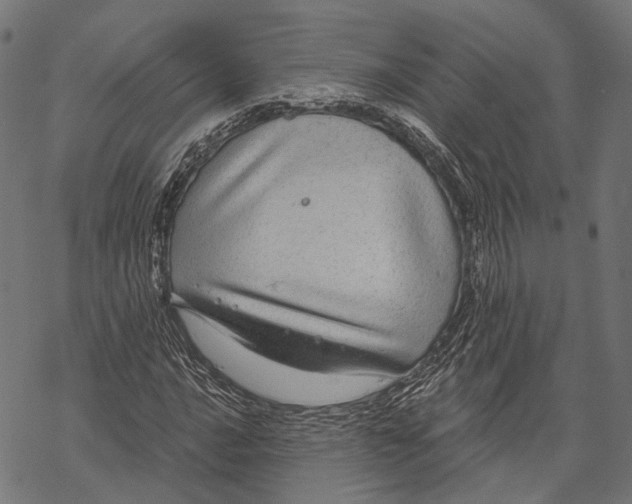 X0000067921016200605041703