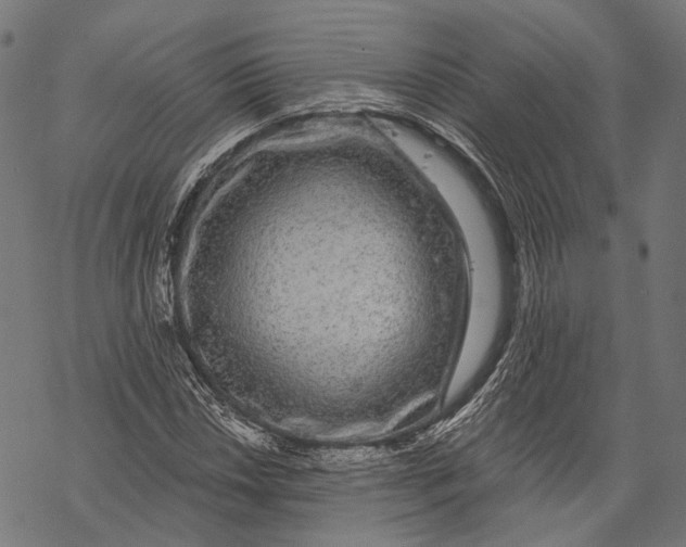 X0000067921018200605041704