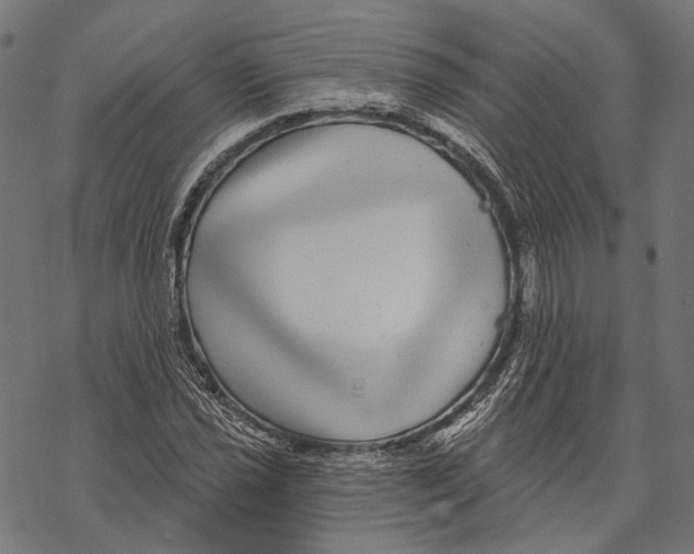 X0000067921021200605041704