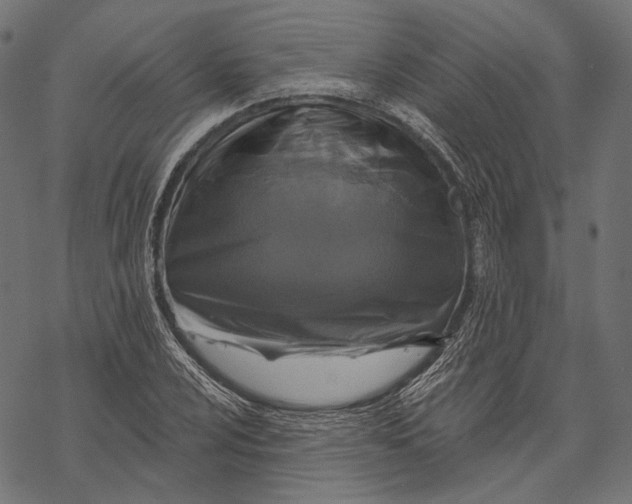 X0000067921024200605041704