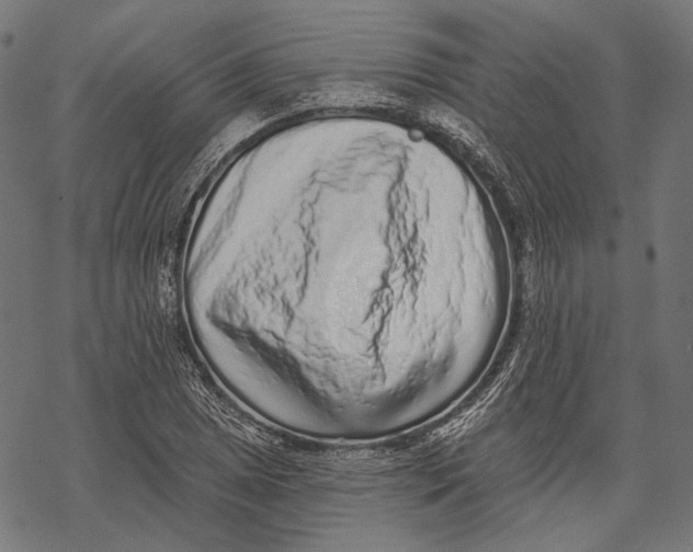 X0000067921025200605041704