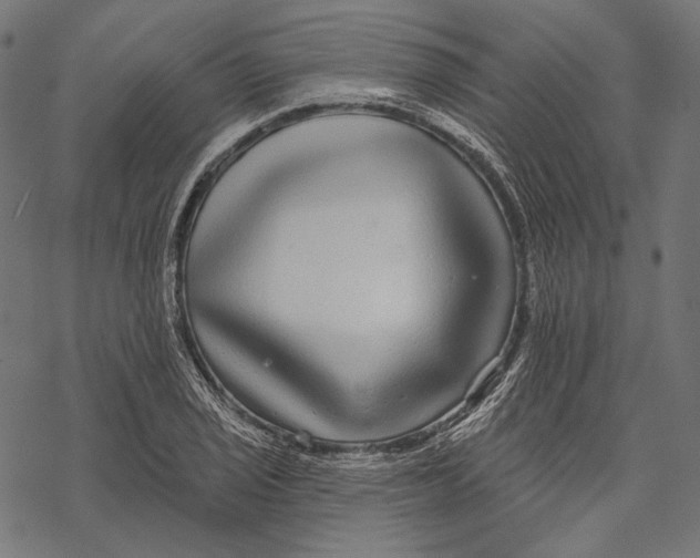 X0000067921029200605041704