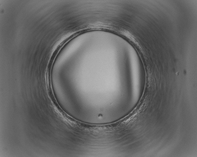 X0000067921032200605041704