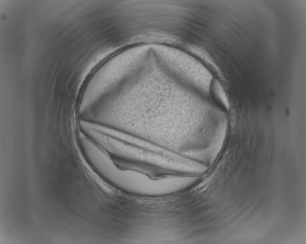 X0000067921040200605041704