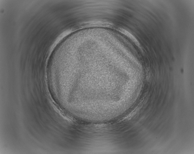 X0000067921043200605041704
