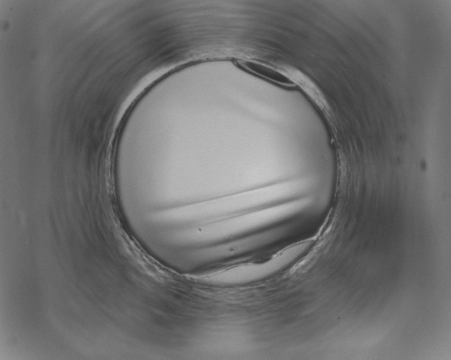 X0000067921052200605041704
