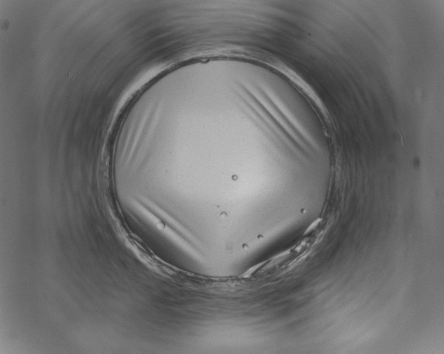 X0000067921053200605041704