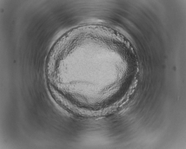 X0000067921055200605041704