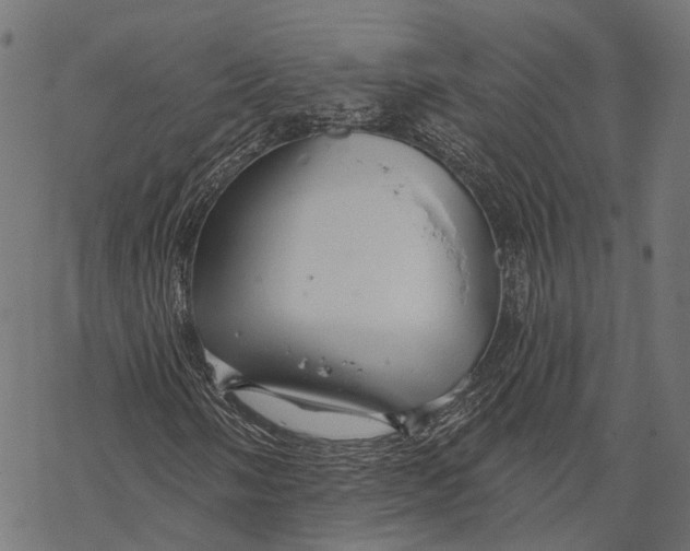 X0000067921058200605041703
