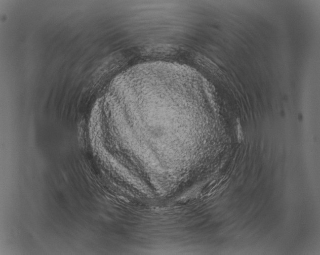 X0000067921059200605041703
