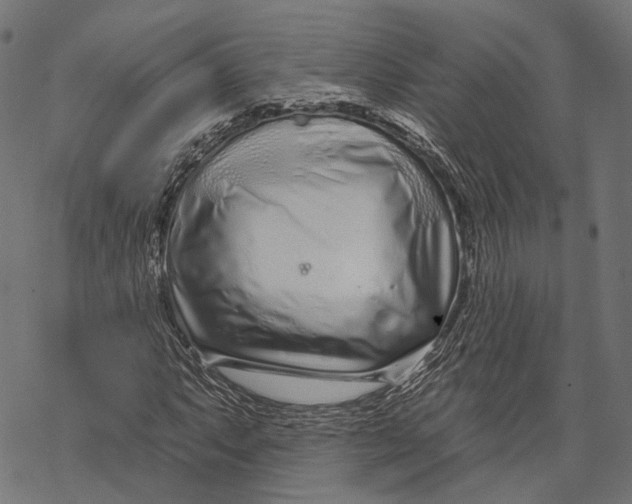 X0000067921063200605041703