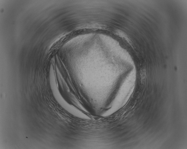 X0000067921064200605041703