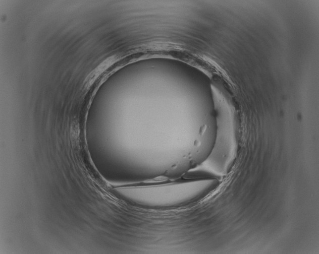 X0000067921065200605041703