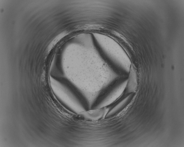 X0000067921066200605041703