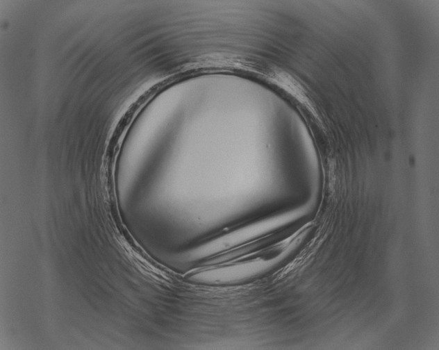 X0000067921068200605041703