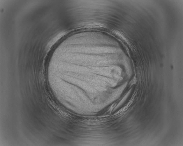 X0000067921071200605041703