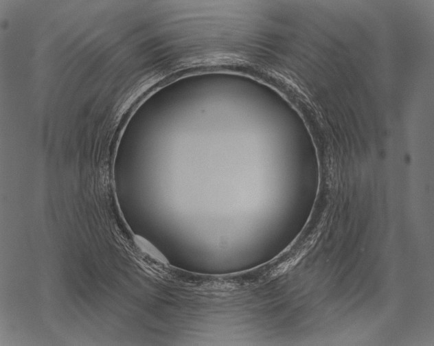X0000067921073200605041703