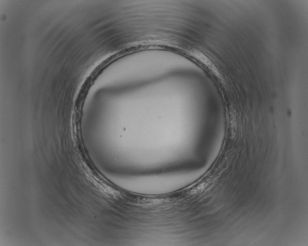 X0000067921076200605041703