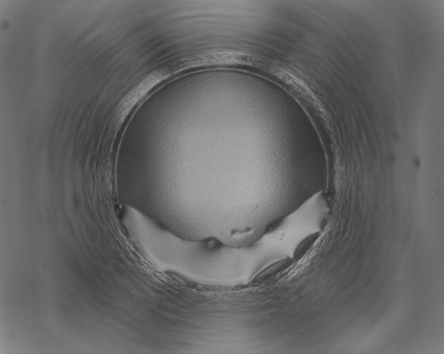 X0000067921081200605041703