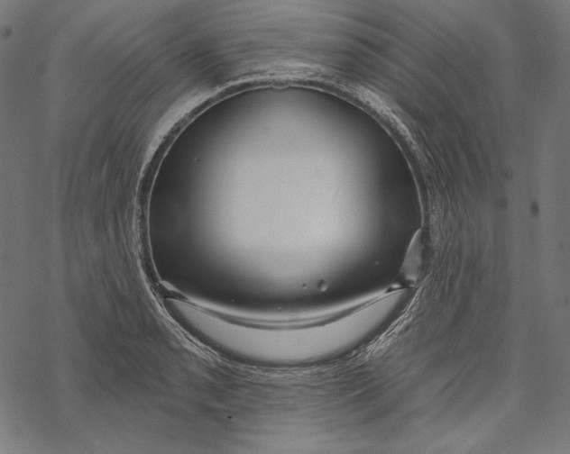 X0000067921085200605041703