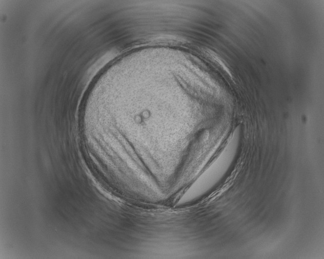 X0000067921087200605041703