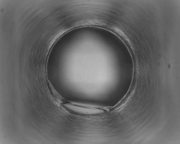 X0000067921089200605041703