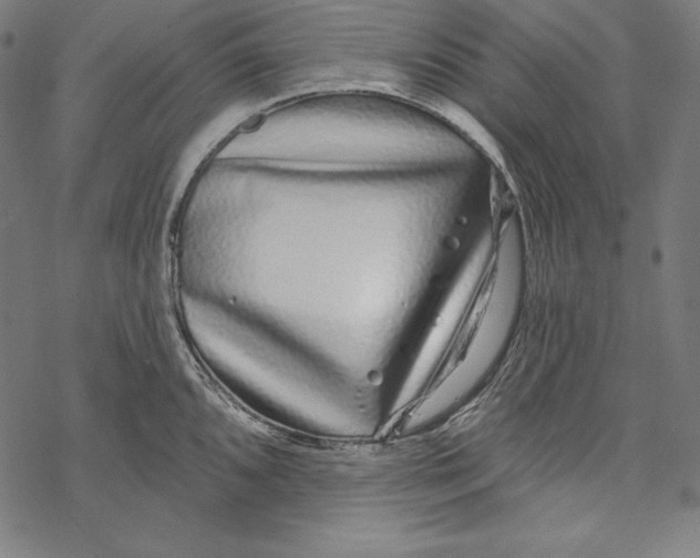 X0000067921096200605041703
