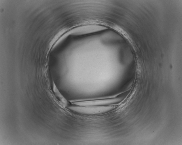 X0000067921097200605041703