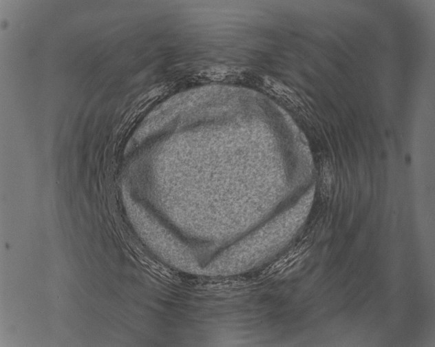 X0000067921105200605041702