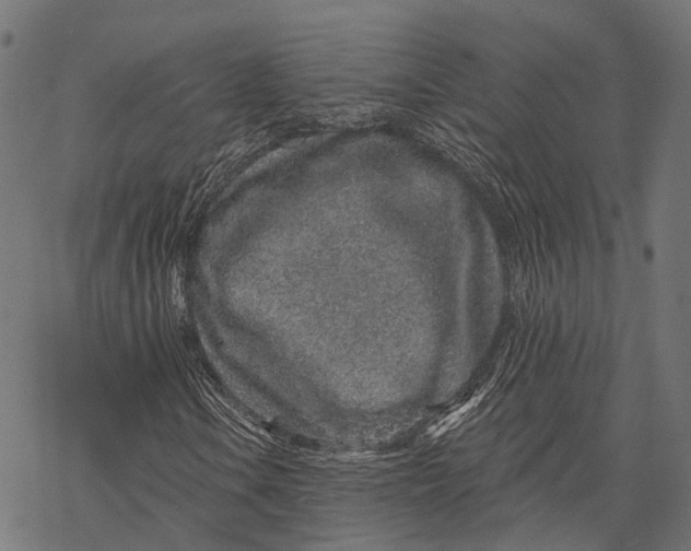 X0000067921106200605041702