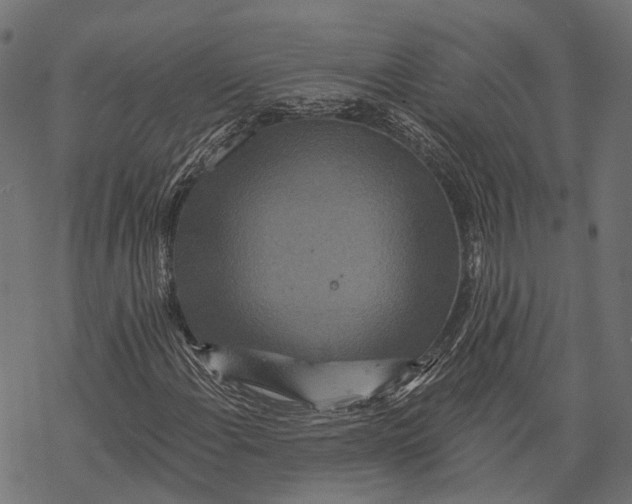 X0000067921108200605041702