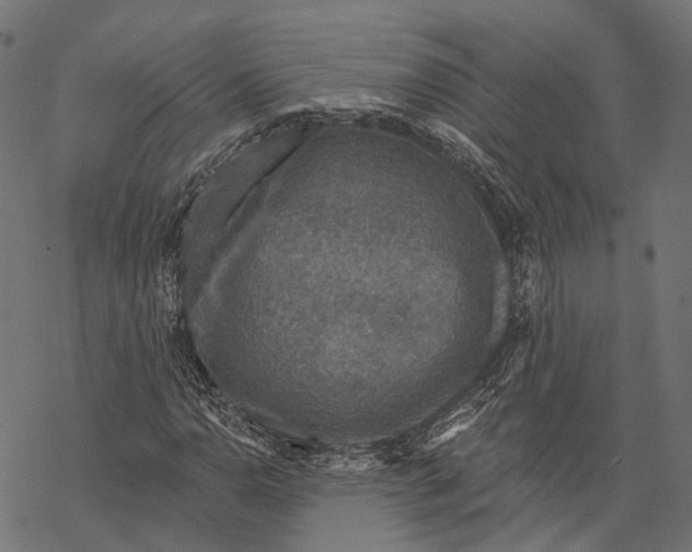 X0000067921110200605041702