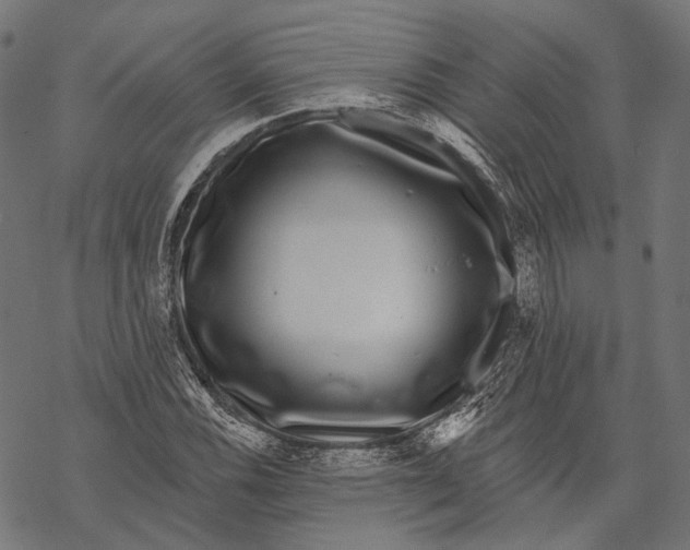 X0000067921116200605041702