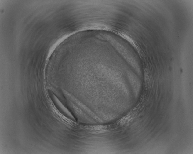 X0000067921120200605041702