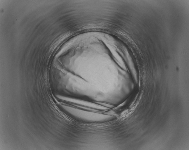 X0000067921121200605041702