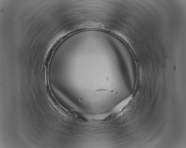 X0000067921123200605041702