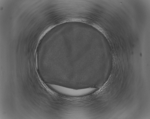 X0000067921127200605041702