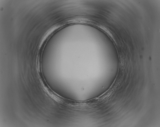 X0000067921131200605041702