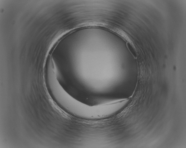 X0000067921132200605041702