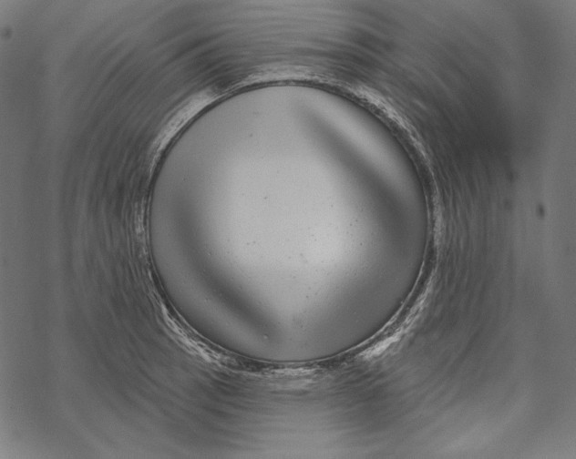 X0000067921137200605041702