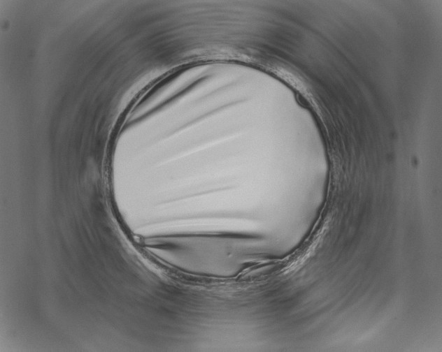 X0000067921141200605041702