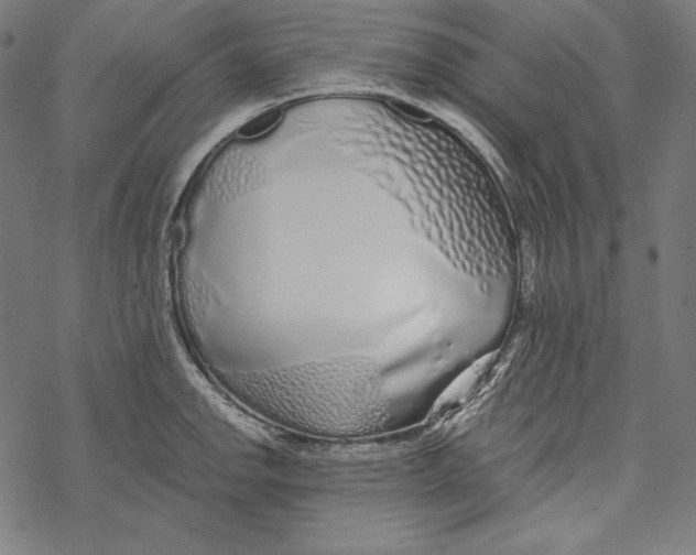 X0000067921142200605041702