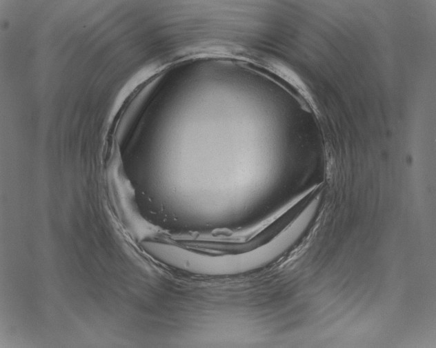 X0000067921146200605041702