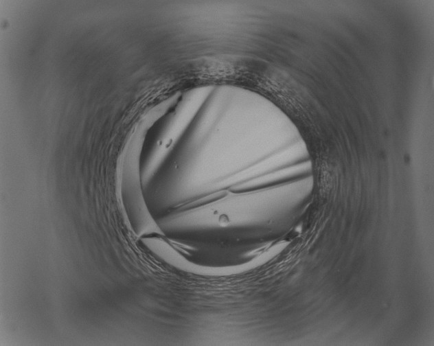 X0000067921153200605041702