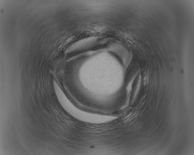 X0000067921156200605041702