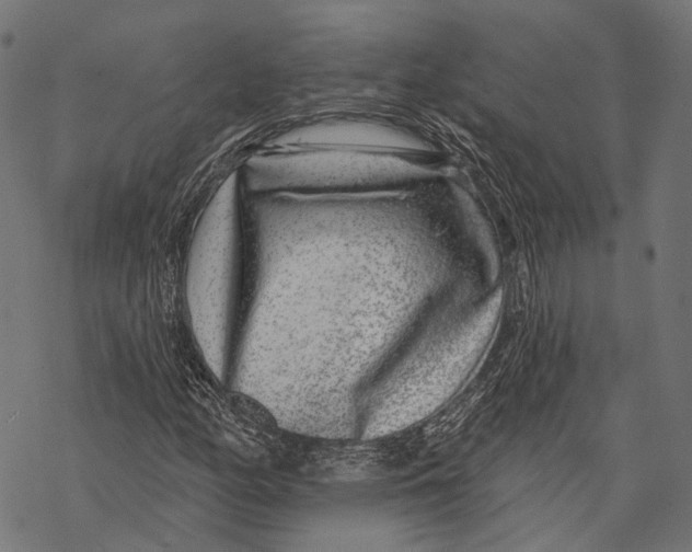 X0000067921158200605041702